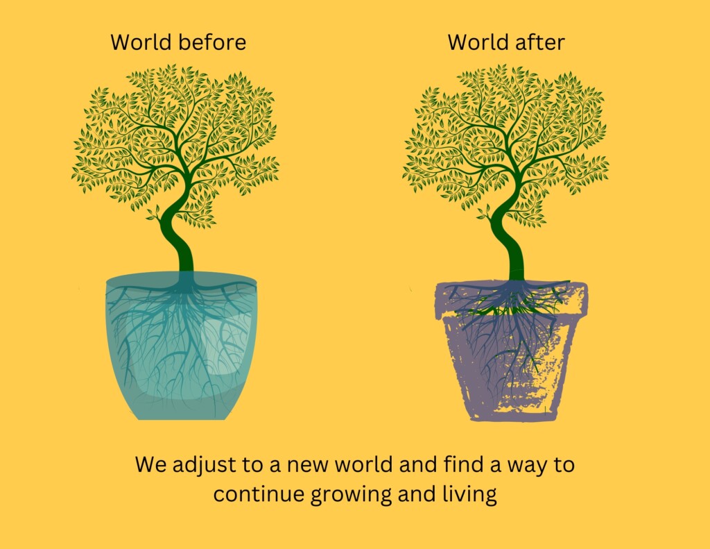 The same tree in two different pots to demonstrate that we adjust to a new world and find a way to continue growing and living after loss